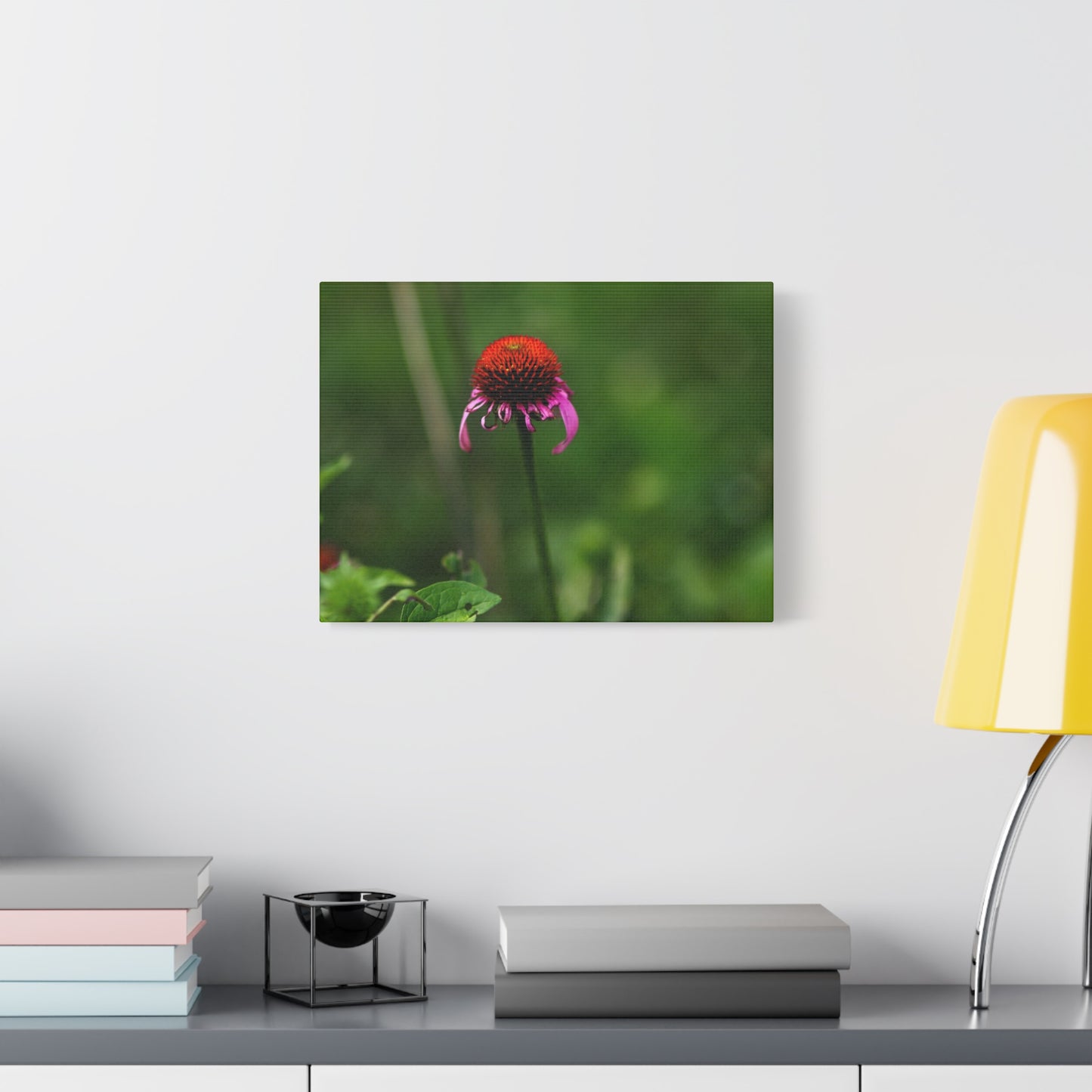 Echinacea Wildflower Canvas Print — Matte Stretched Wall Art