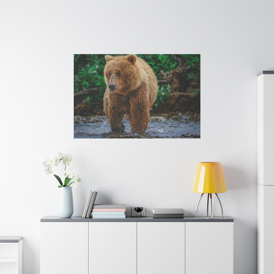 Katmai Brown Bear Wildlife Canvas Print Stretched Matte Nature Wall Art