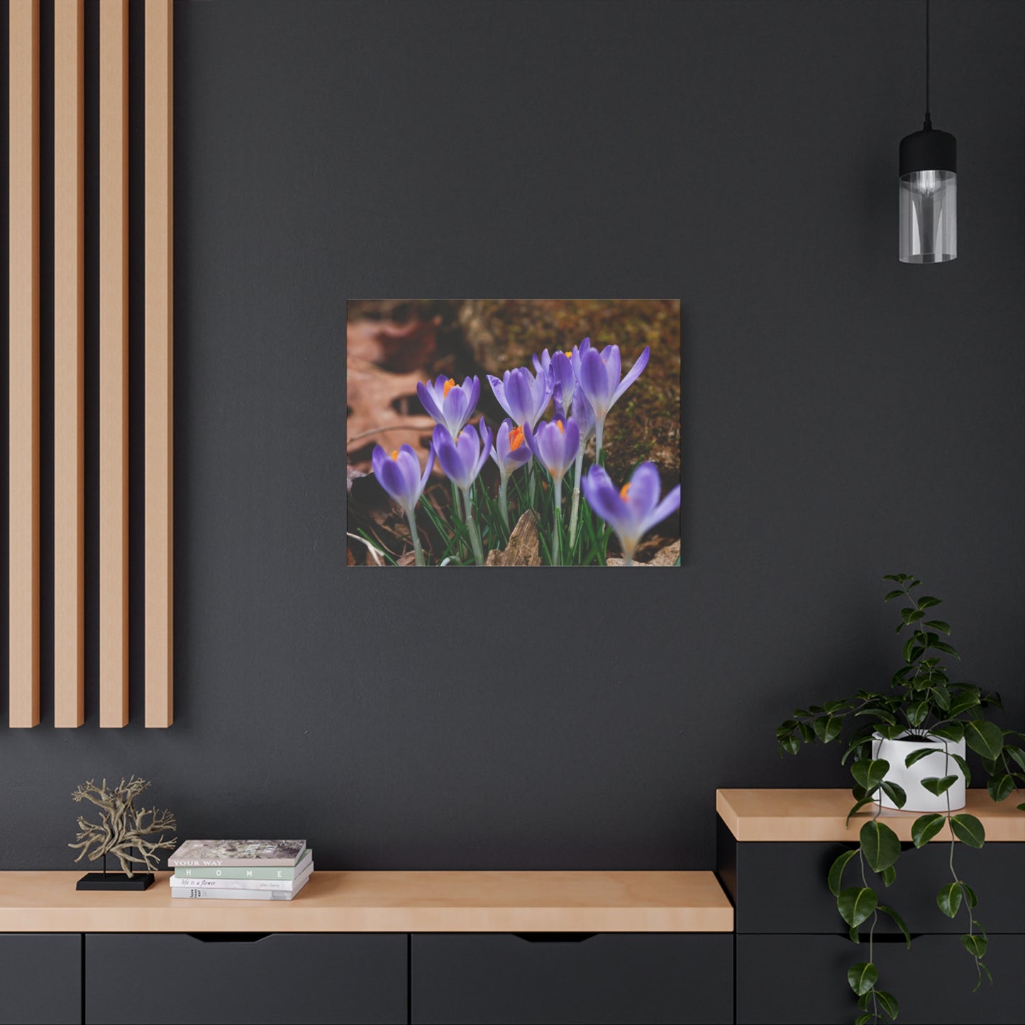Purple Crocus Flower Canvas Stretched Matte Canvas