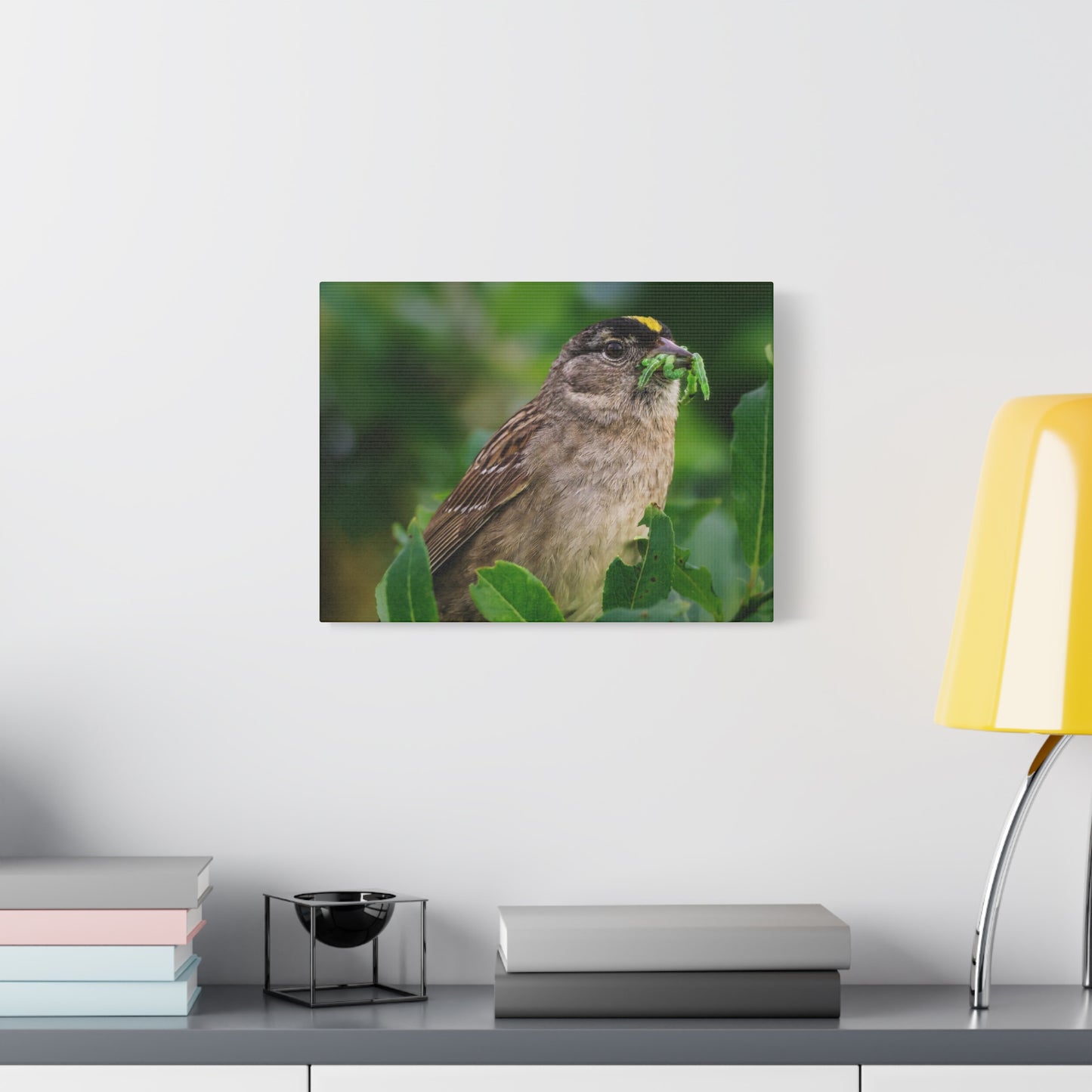 Golden-Crowned Sparrow Canvas Print, Bird Photography Wall Art