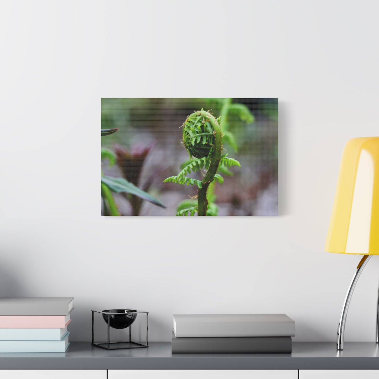 Where the Fern Unfurls ~ Matte Botanical Canvas Print