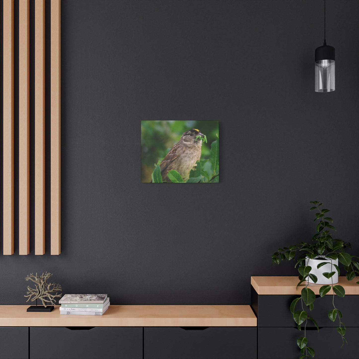 Golden-Crowned Sparrow Canvas Print, Bird Photography Wall Art