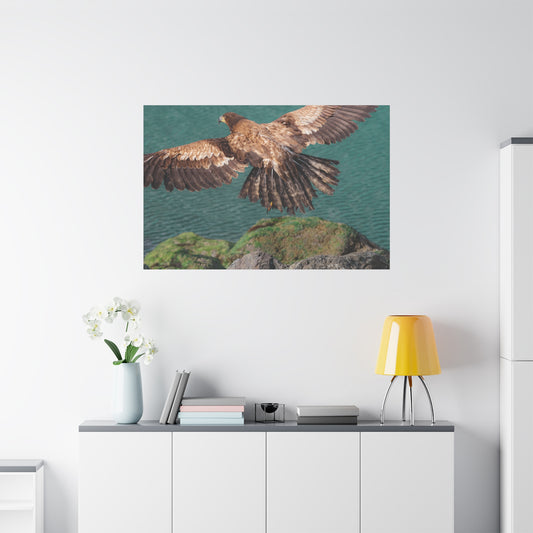 Young Eagle Over Open Water – A Quiet Coastal Canvas Print
