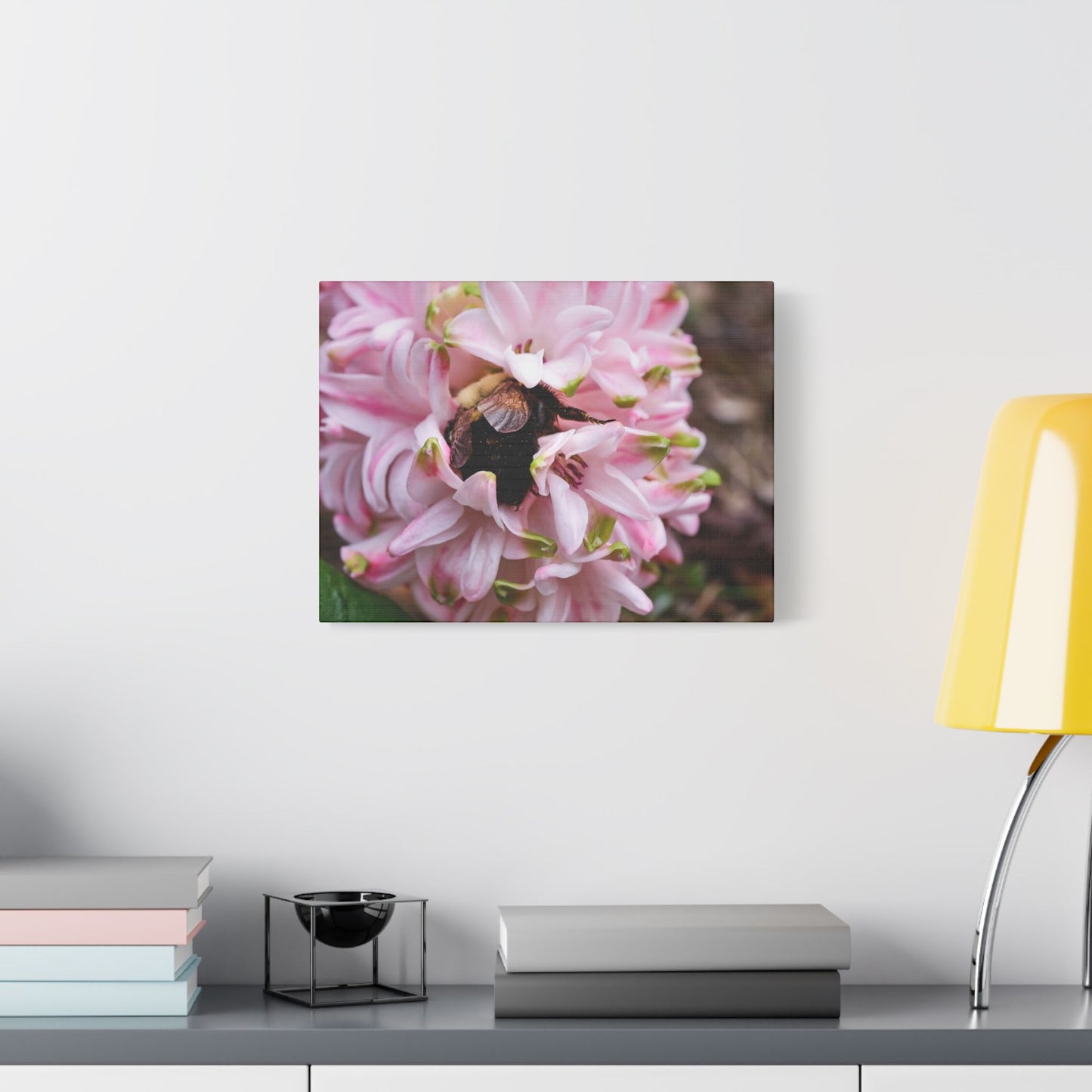 Pink Hyacinth Bee Canvas